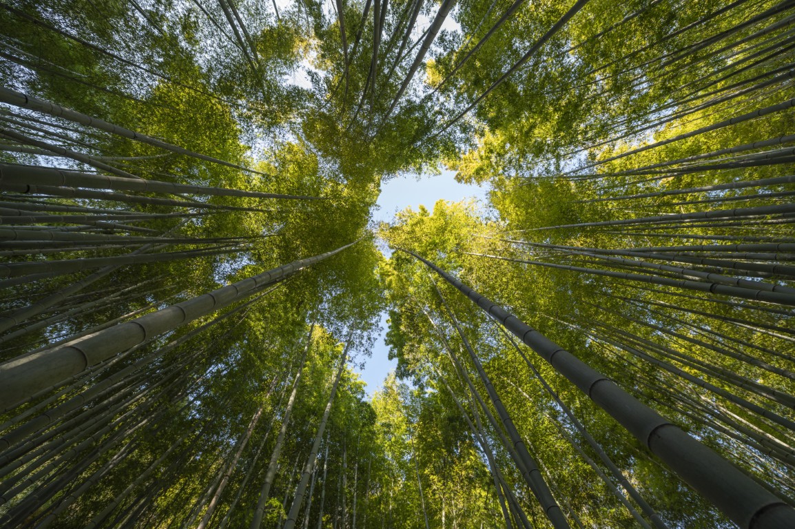 The environmental impact of metals and the importance of their recycling