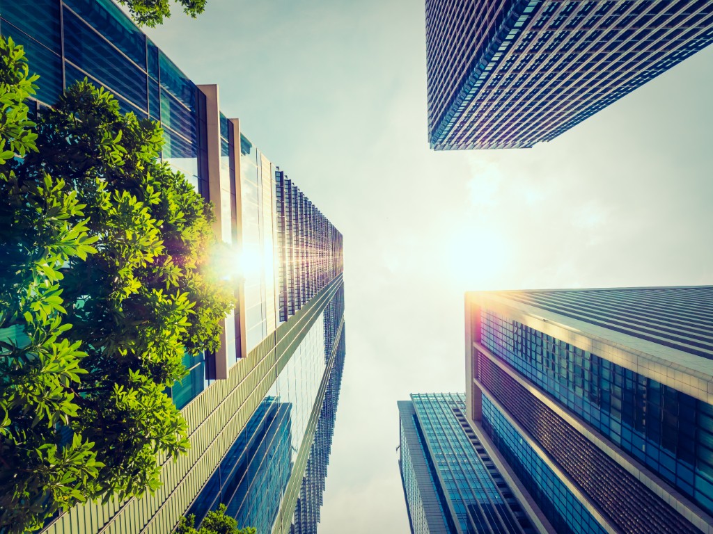 What is a Sustainable Company