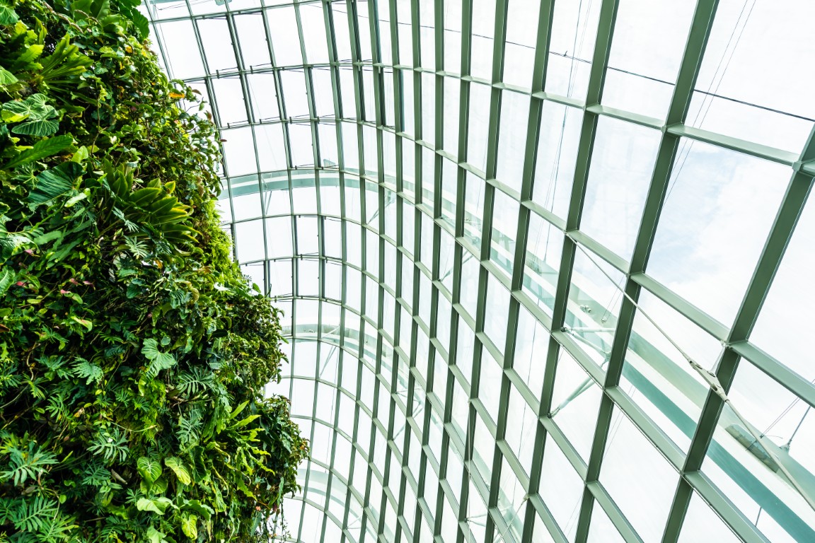 What Is a Green Building and What Are Its Advantages?